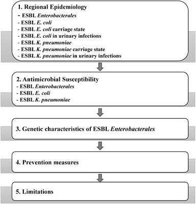 Prevalence and genetic characterization of clinically relevant extended-spectrum β-lactamase-producing Enterobacterales in the Gulf Cooperation Council countries